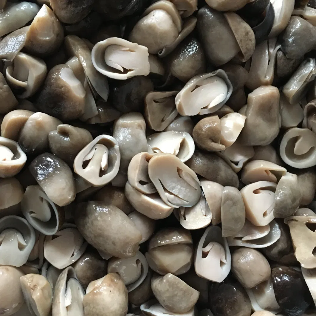 Canned Food Canned Straw Mushroom Whole in Brine