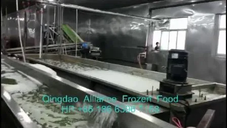 2022 Guisantes verdes IQF congelados vegetales de nueva cosecha de China con Brc ISO FDA Kosher