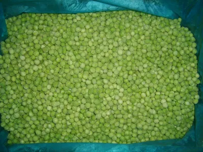 Verduras Congeladas Guisantes Verdes Congelados IQF