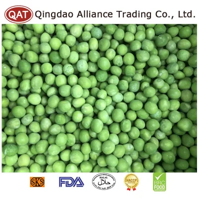 Gran oferta mundial de guisantes verdes congelados orgánicos, guisantes verdes congelados de salud IQF, guisantes verdes congelados para exportar