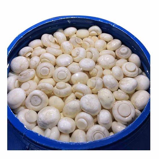 Champiñón Salado En Tambor