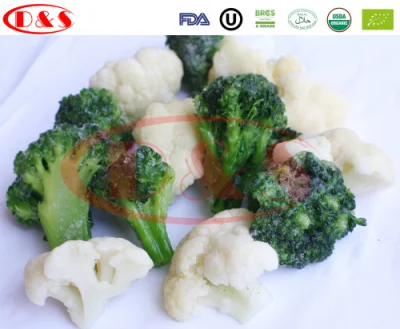 Venta al por mayor con el mejor precio Brócoli congelado IQF