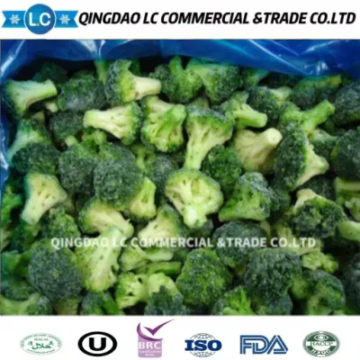 Planta de brócoli IQF congelado, venta al por mayor, brotes de brócoli frescos, recolección de brócoli