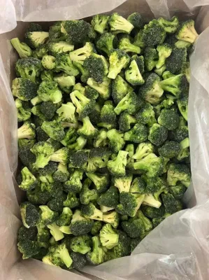 Brócoli verde IQF Frozen Supply
